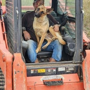 Meet your Posher, Jake